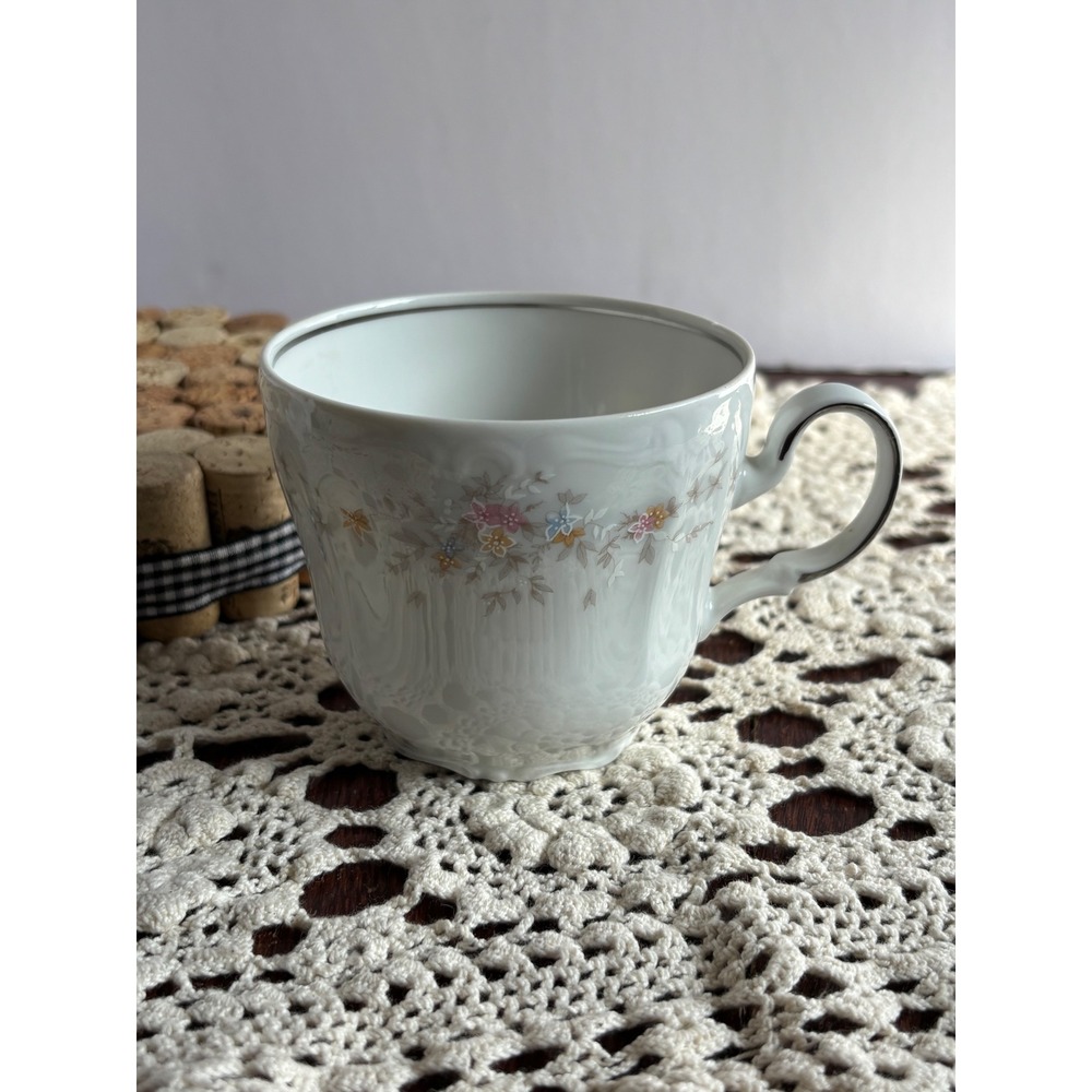 Johann Haviland Bavaria Germany Blue Garland China Teacup Floral Silver Trim